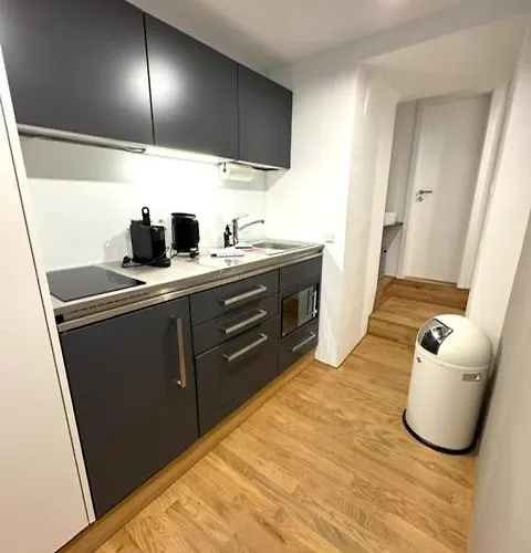 Altstadteden Lägenhet Konstanz